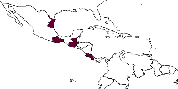 map of Corsoncus marianoi     Gauld, 1997